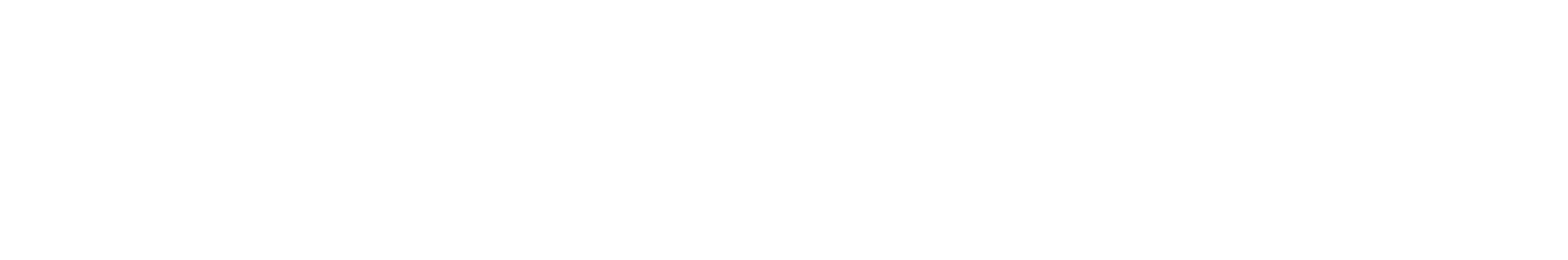 Concepcio logo